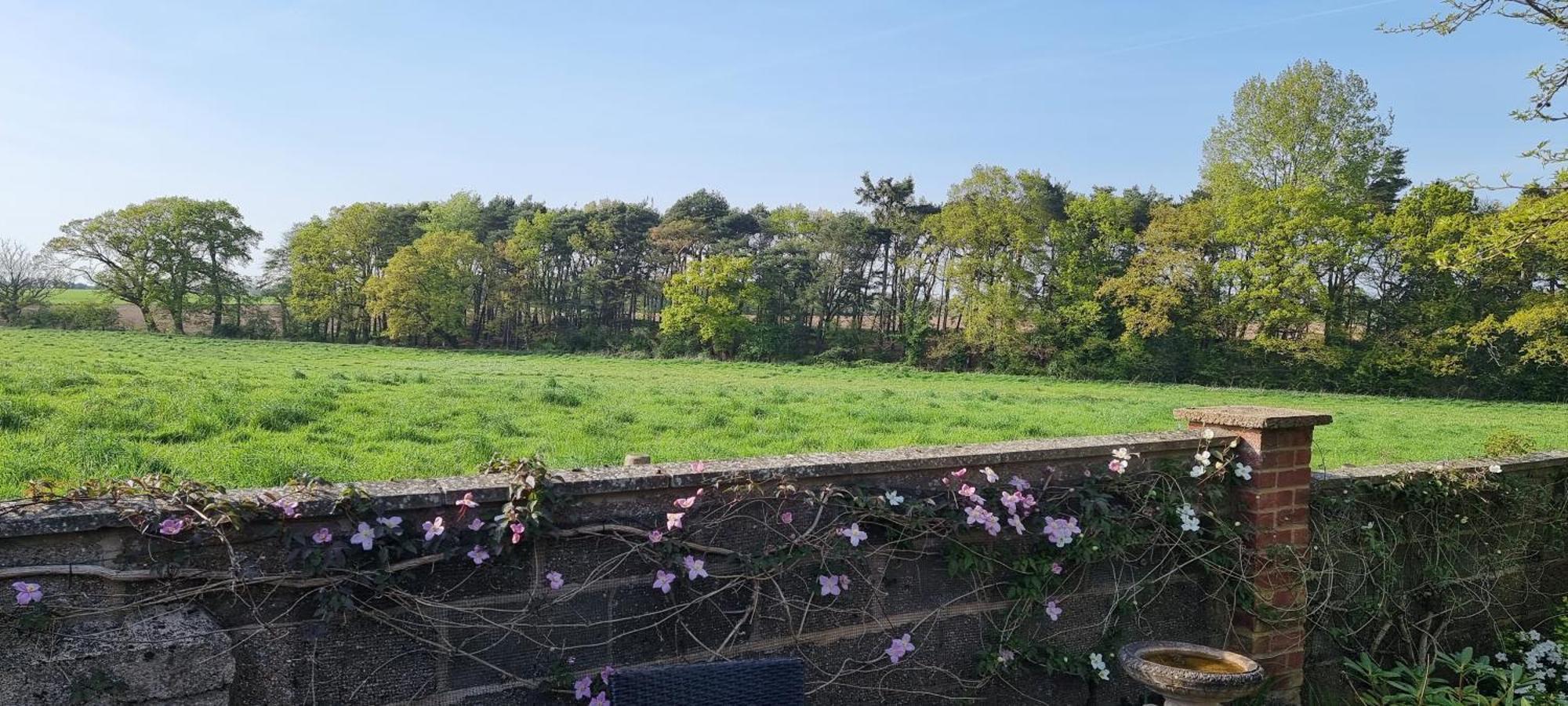 Begonia Cottage Briston Zewnętrze zdjęcie
